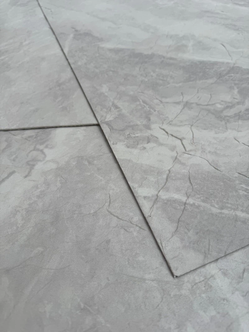 IMG4779 21 IMG4779 21